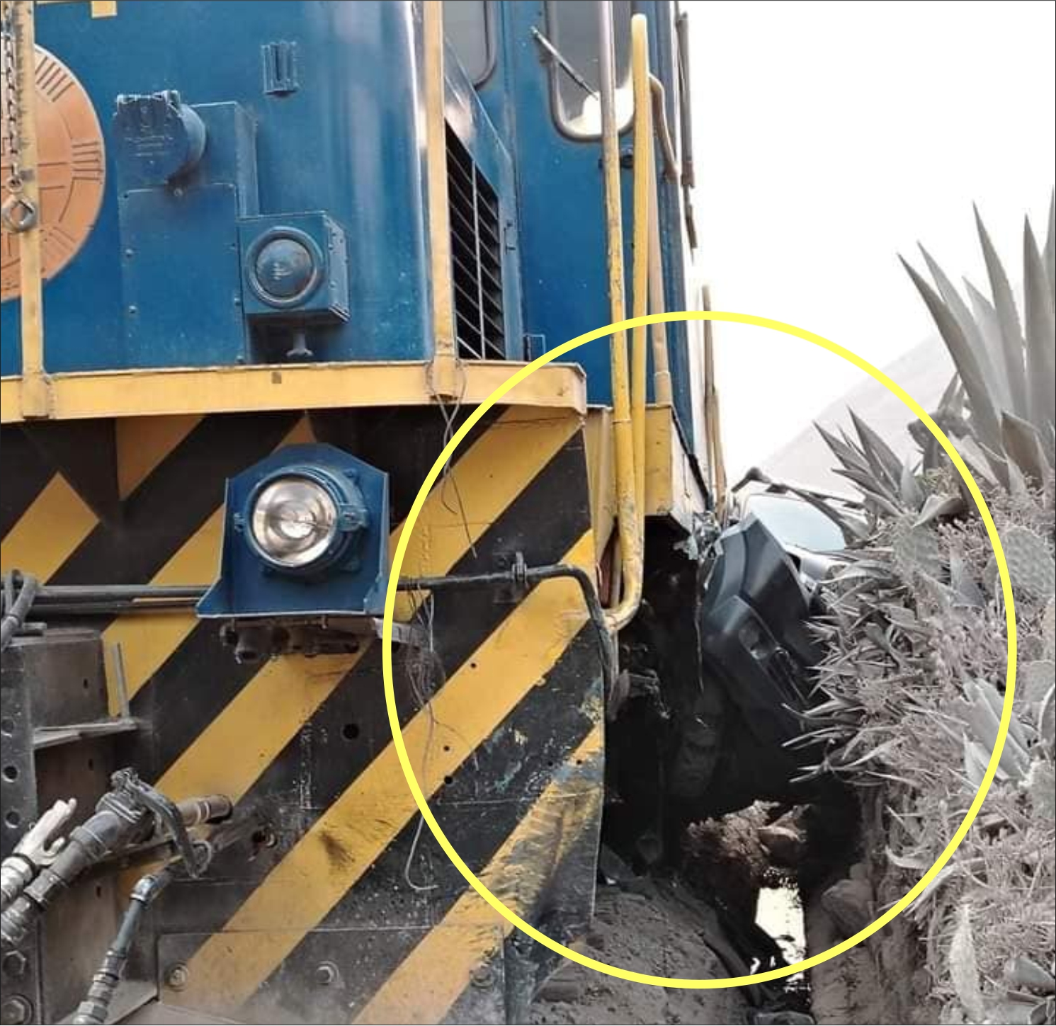 NOTICIAS CUSCO 01/09/2024: OTRA VEZ SINIESTROS CON TREN DE PERÚ RAIL, ESTA VEZ EN EL SECTOR DE OLLANTAYTAMBO AUTO SE EMPOTRÓ CON MAQUINARIA PESADA…