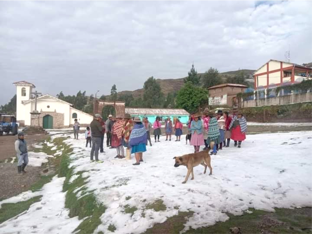 NOTICIAS CUSCO 12/11/2024. ALERTA POR CAMBIO DE TEMPORAL EN PROVINCIAS, EN CHINCHAYPUJIO AGRICULTORES LO PERDIERON TODO, VARIAS HECTÁREAS AFECTADAS POR GRANIZADA EN DEMASÍA..