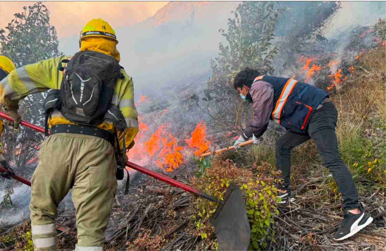 NOTICIAS CUSCO 12/07/2026: Oportuna acción ante incendio forestal, policía, serenazgo y bomberos en Llaullipata…